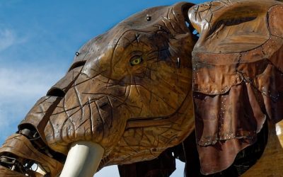 The 5 main business sectors in Nantes