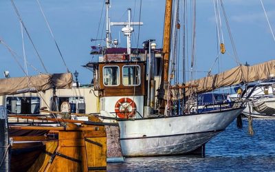 Lorient : the Little Thumbling plays with the big boys