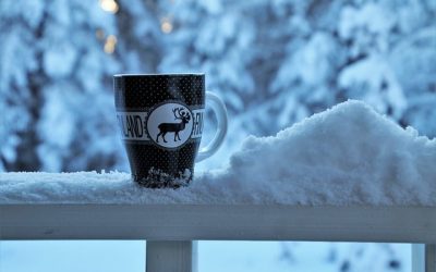 Les différences culturelles entre la Finlande et la France ?