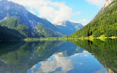 Quelle différences culturelles entre la Slovénie et la France ?
