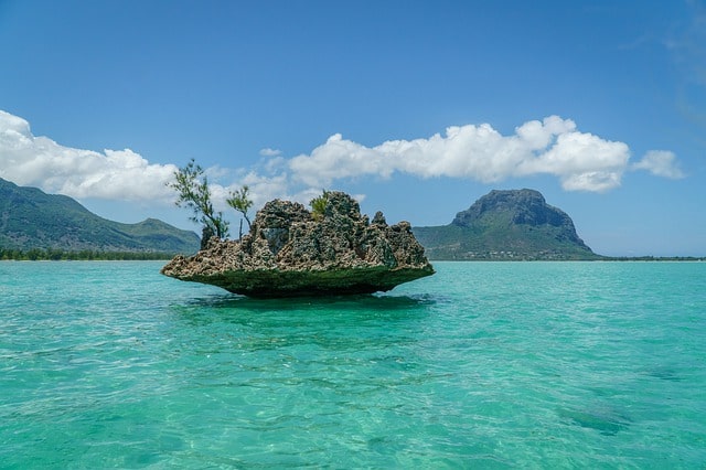 Stage à l’île Maurice