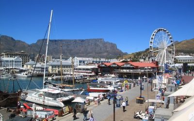 Stage en Afrique du Sud