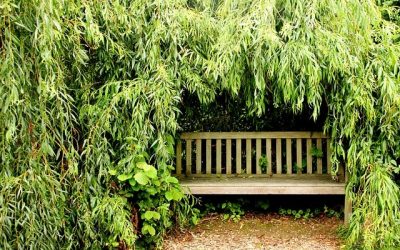 Combine chill and skills during your internship abroad