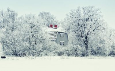 Cultural differencies between Finland and France