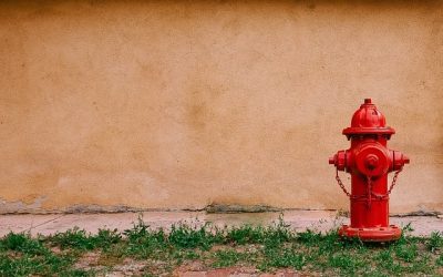 Trouver un stage à l’étranger en urgence