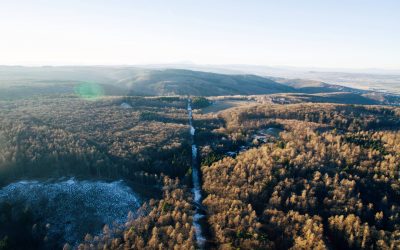 Cultural stay in Hungary