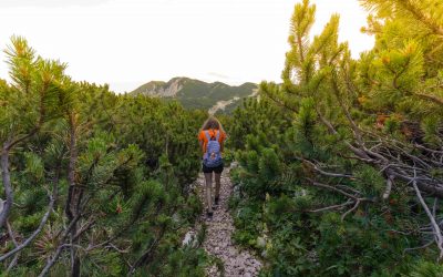 Cultural differencies between Slovenia and France