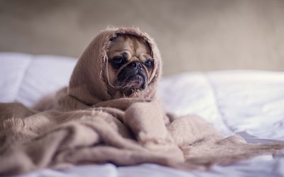 Mon stage est nul, qu’est-ce que je fais ?