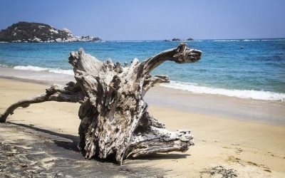 Stage de BTS Tourisme en Colombie