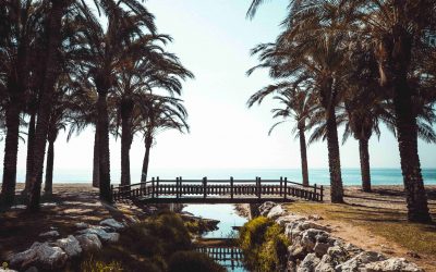 Stage BTS CI à petit prix en Espagne