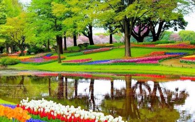 Top 10 des anecdotes sur les Pays-Bas