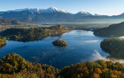 Top 5 des destinations où faire son stage de BTSA Aménagements paysagers