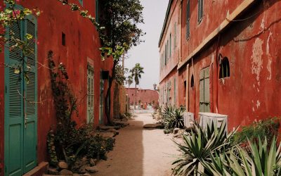 Sénégal VS Maroc : trouve ton stage