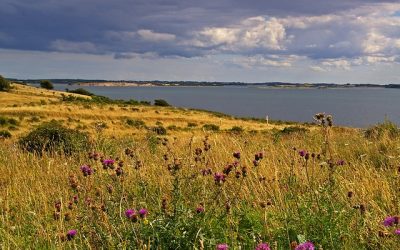 10 fun fact about Denmark