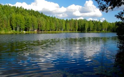 Feedback from my own experience in Finland