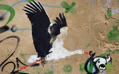 I’m in Tallinn : where can I travel during my internship abroad ?