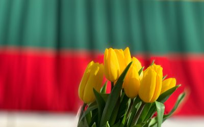 Les différences culturelles entre la France et la Lituanie