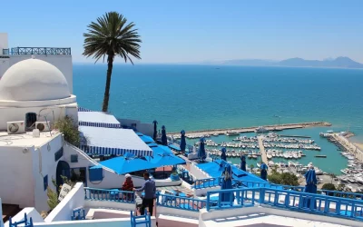 TOP 10 anecdotes en Tunisie