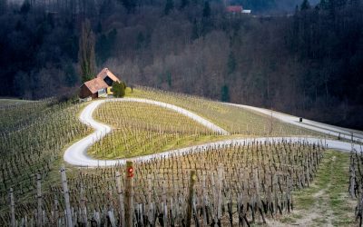 Faire son stage d’esthétique en Slovénie : une expérience professionnelle et humaine unique